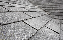 Shingle roof with labels
